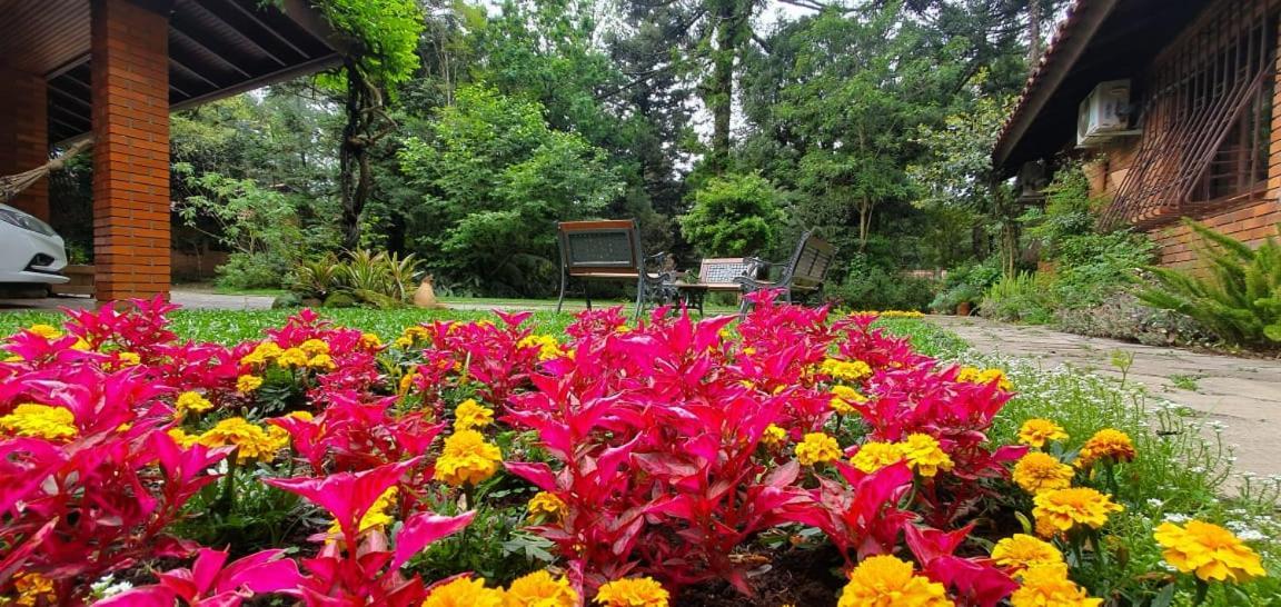 Casa Goldoni Gramado 4 Quartos מראה חיצוני תמונה